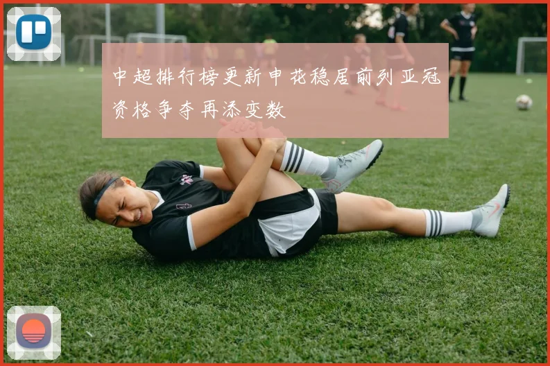 中超排行榜更新申花稳居前列亚冠资格争夺再添变数